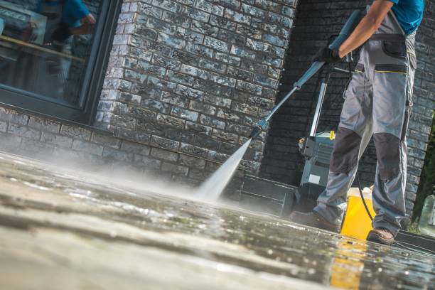 Best House Exterior Washing  in Olean, NY